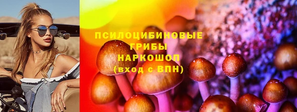 PSILOCYBIN Богородск